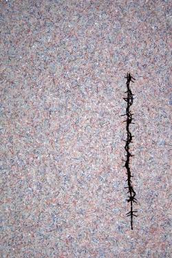 "The Colour of Money" Crisis? What crisis