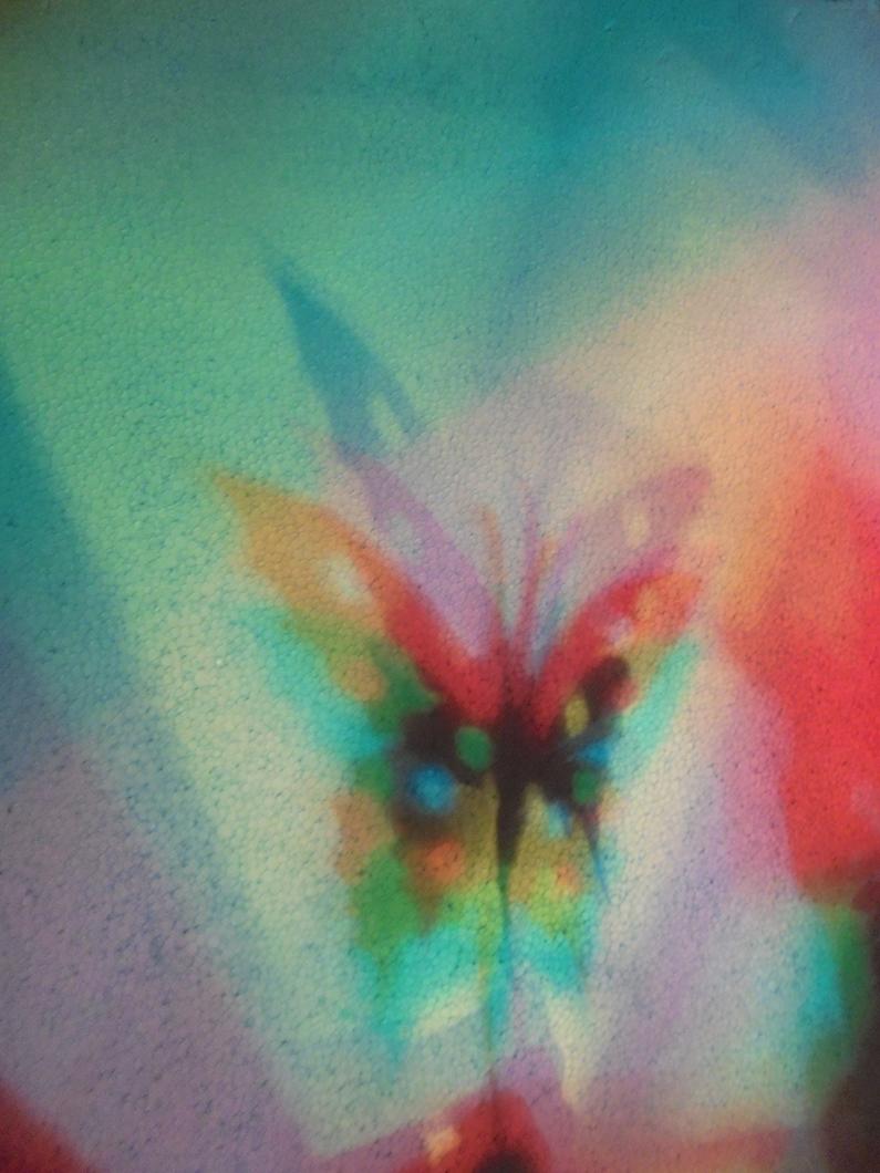 progetto "I colori della biodiversità"