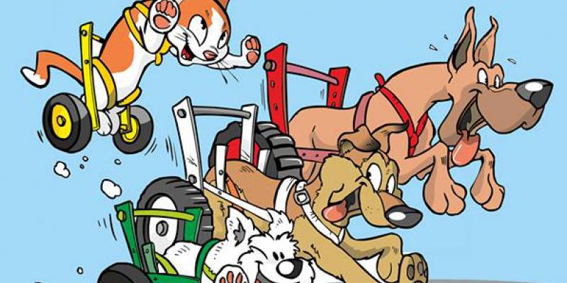 CARRELLINI DEL MAGO AL BARWIE CARRELLINI DEL MAGO AL BARWIE