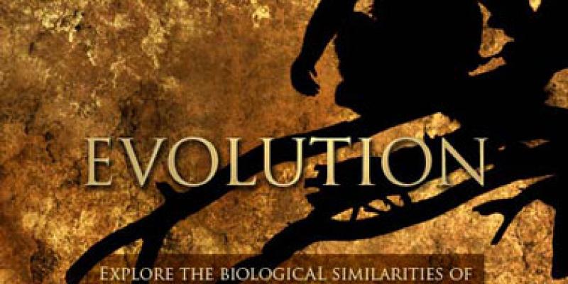 Revolutionart 25 - "Evolution" / Call for entry Revolutionart 25 -