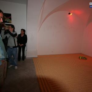 " BIOUNICITA' " di Vito Mazzocchi