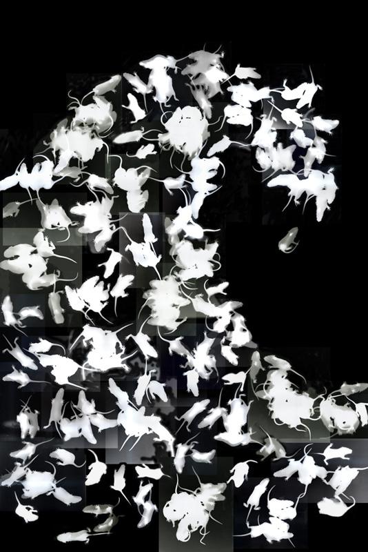 Negative Baby Rat Wave no.30 Negative Baby Rat Wave no.30