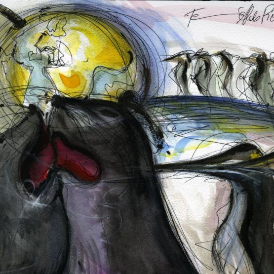 LA FOCA IL PINGUINO eIL BRUCO