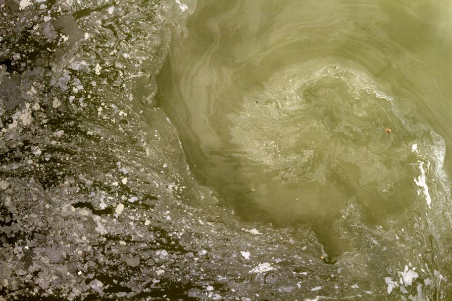 Untitled (Gowanus Canal) Untitled (Gowanus Canal)