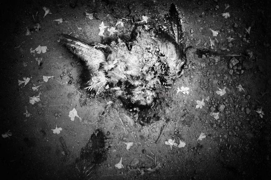 Morte e Risurrezione Morte e Risurrezione