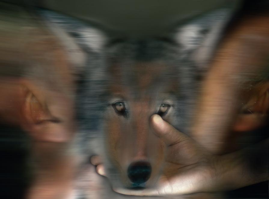 prima ascolta,poi rifletti ,sei libero poi di agire di conseguenza come desideri.. prima ascolta,poi rifletti ,sei libero poi di agire di conseguenza come desideri..