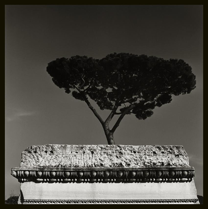 Italia, 16 - by Augusto De Luca