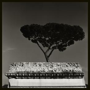 Italia, 16 - by Augusto De Luca