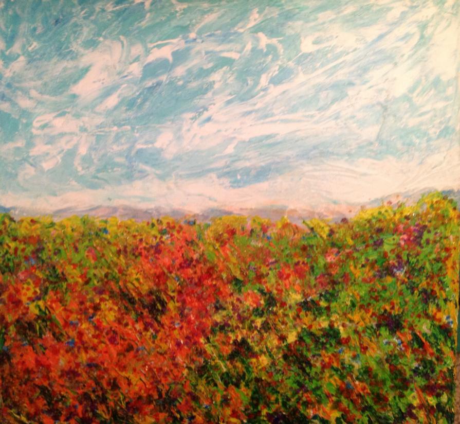 I colori della mia terra 