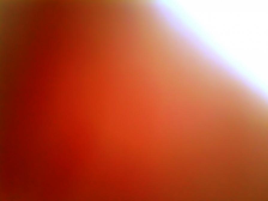 Il sole in alto a destra.