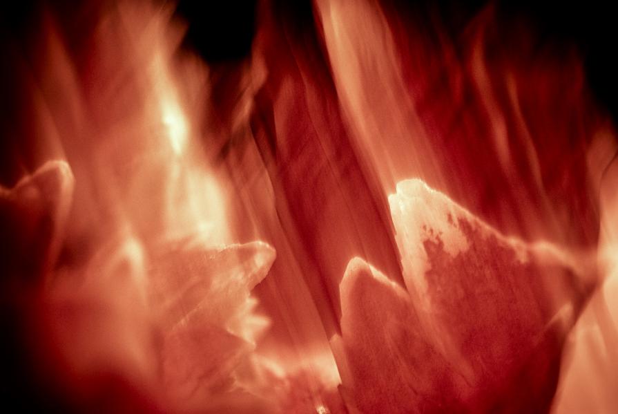 Series "The desires of...3"