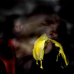 il limone è aspro.caro maestro l'arte è aspra.l'arte di vivere.