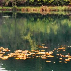 Il fiume Adda, la mia fonte di ispirazione. Il fiume Adda, la mia fonte di ispirazione.