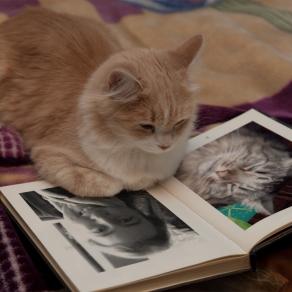 . . . E PIU' MI MANCHI !!! . . . 