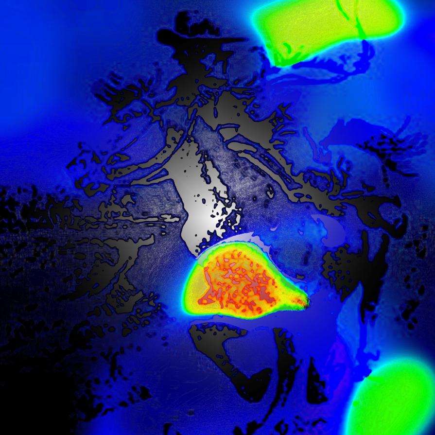 . . . l'importante è viverlo !!! . . .