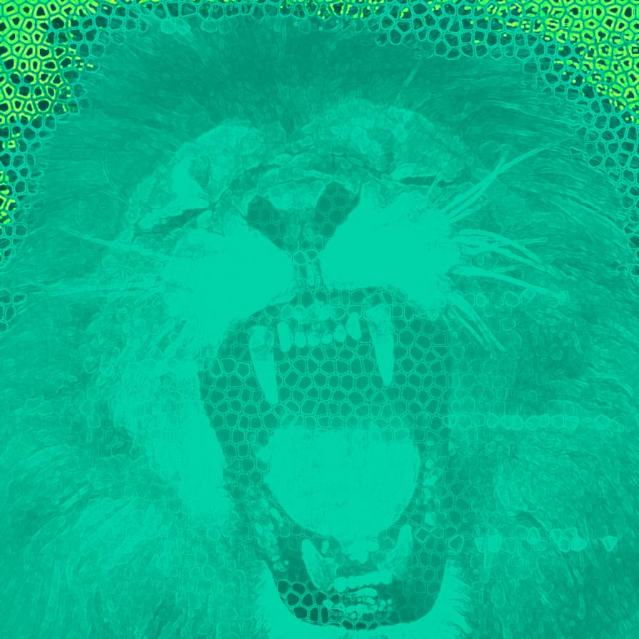 No. Non rinuncerò !!!