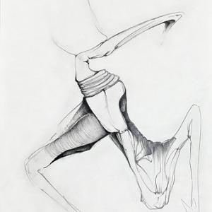 LA PIEGA 5-ambiguous inflexion 2