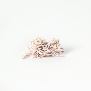 Quel che resta del mare