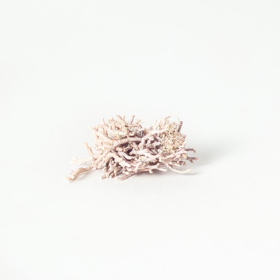 Quel che resta del mare