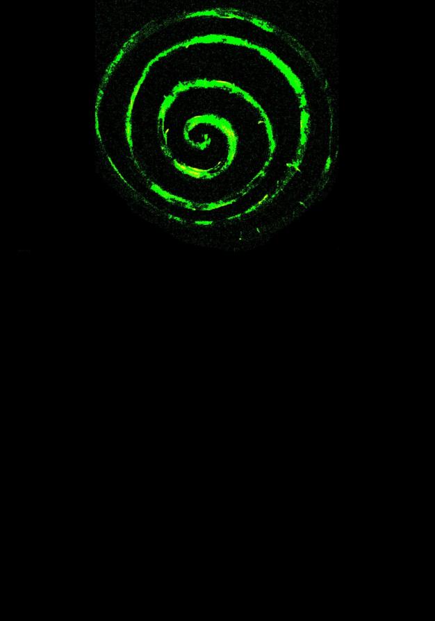 anche questa notte kheperer ha mantenuto la sua promessa...acrilico e pittura luminescente su tela 100cmx70cm