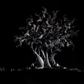 aULIVO - biacca su carta nera