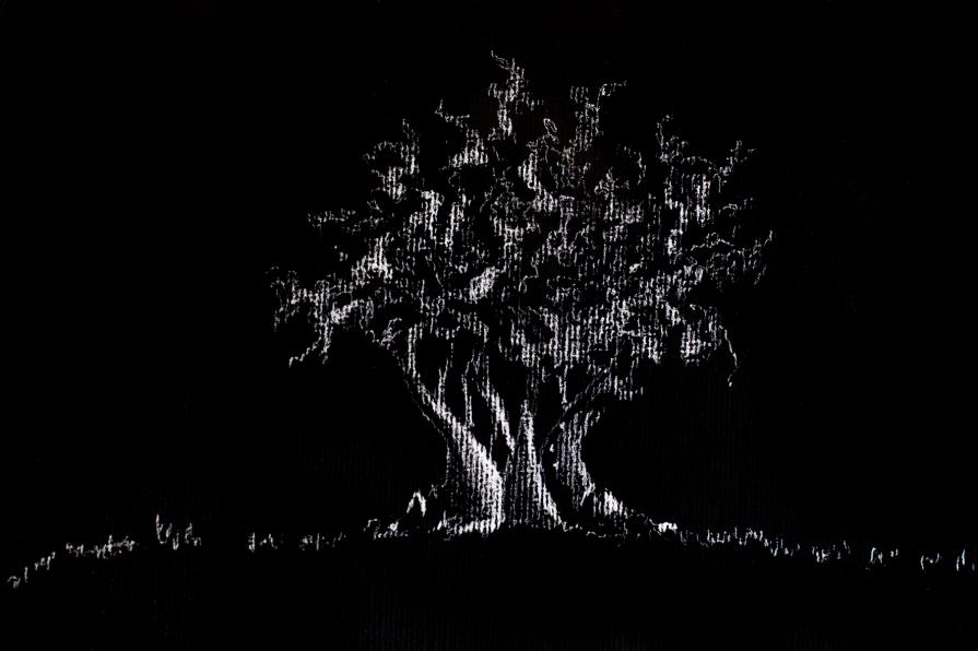 aULIVO - biacca su carta nera