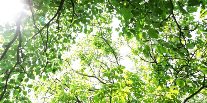 Beyond – Si non sedes, is