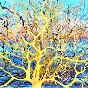 Maristella Angeli participates in "The Garden of Soul", Virtual Art Exhibition Maristella Angeli participates in "The Garden of Soul", Virtual Art Exhibition