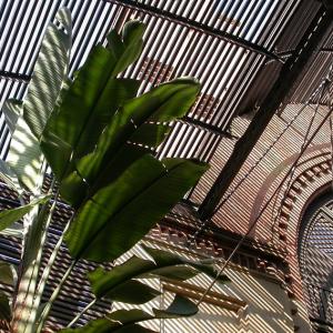 Spain. Barcelona upward