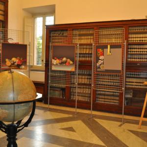 Viaggio da Venezia a Costantinopoli