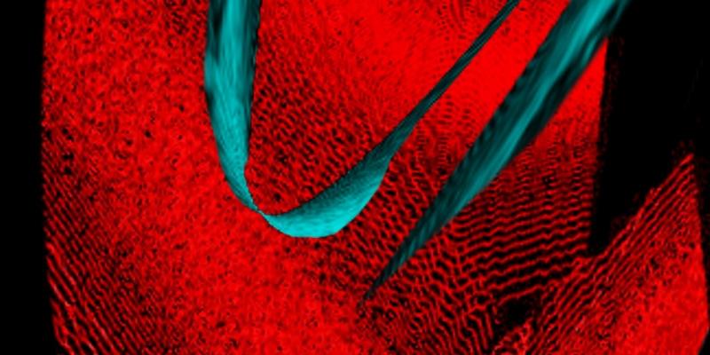 Where Do I belong ? The Bella Vista gallery Chicago USA Where Do I belong ? The Bella Vista gallery Chicago USA