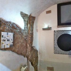 “5 Elementi 5” legno . fuoco . terra . metallo . acqua “5 Elementi 5” legno . fuoco . terra . metallo . acqua