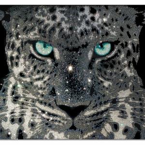 ANIMALS ART al Club La Meridiana di Modena