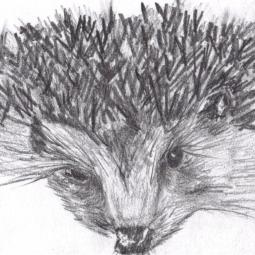 Gian Maria Annunziata