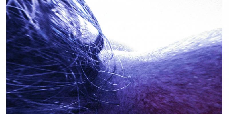 IL VIRTUALESIMO IL VIRTUALESIMO