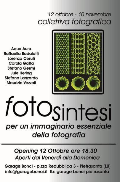 Fotosintesi: per un immaginario essenziale della fotografia
