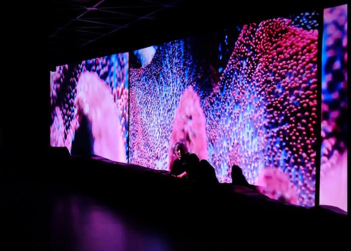 I LANDSCAPE I LANDSCAPE