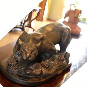 LE FOTO DI ALTRA NATURA IN VILLA fino al 25 ottobre CLUB LA MERIDIANA (MO)