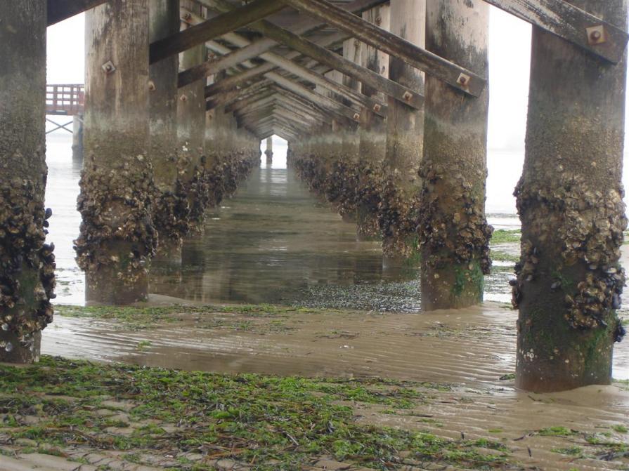 Serie mare d'inverno - 