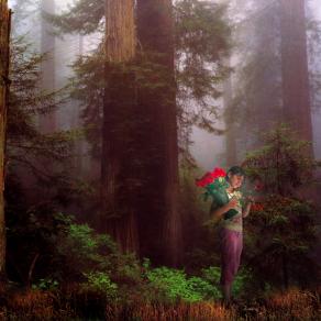 " To Grandma's House "  from the series  " Others In Wonderland "