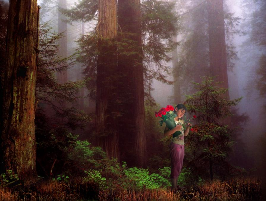 " To Grandma's House "  from the series  " Others In Wonderland "