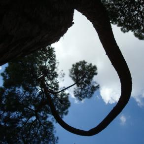 Cerca del Angel Caido