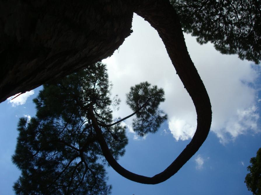 Cerca del Angel Caido