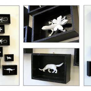 Vienia vedere la mia collezione di farfalle?