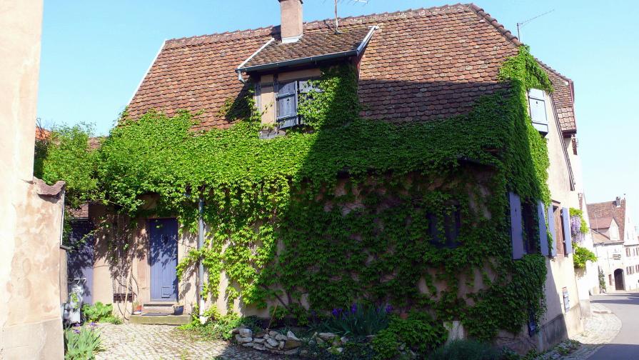 Le charme de la campagne