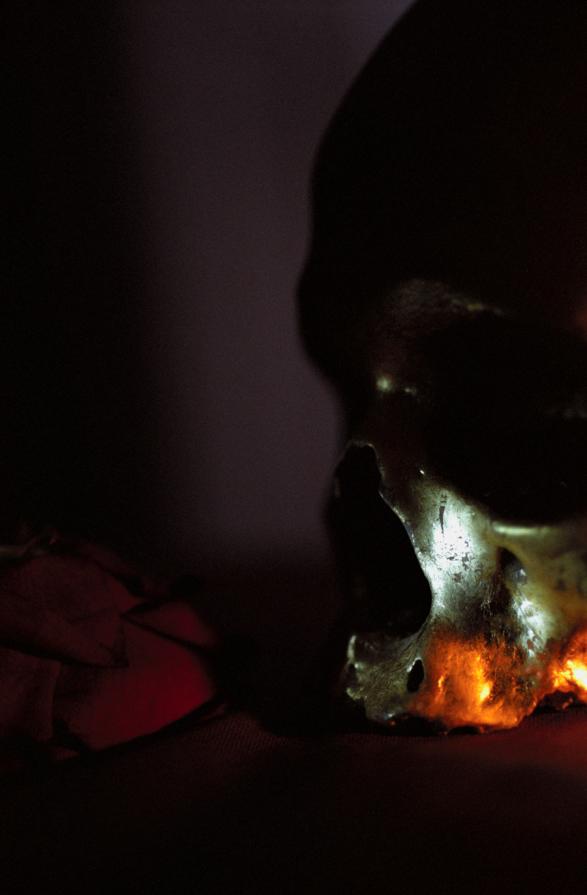 Memento mori XI Memento mori XI