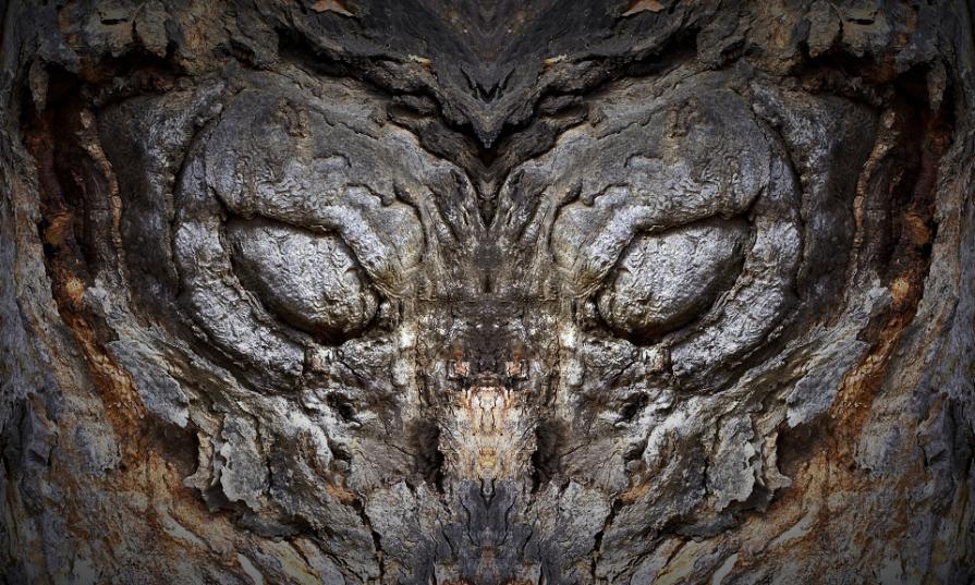 The Silent Memory of Trees The Silent Memory of Trees