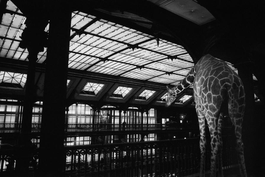 Visita a casa Buffon