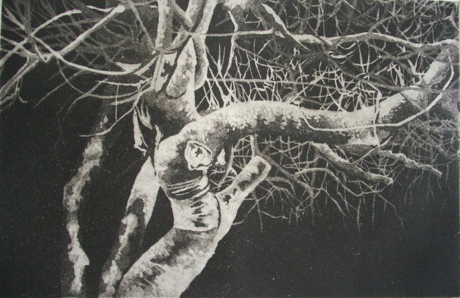 Silenzio intorno al mio albero prediletto