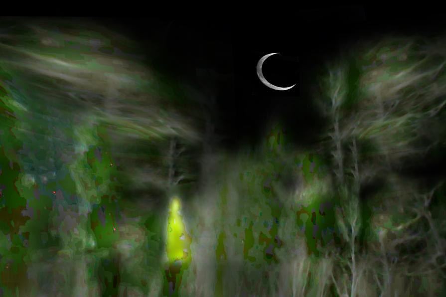  sogno una notte a Lavarone ,aspetto l'una. per andare a casa 